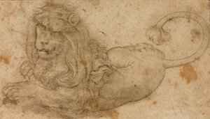 Studie van een Leeuw door Lucas Cranach the Elder